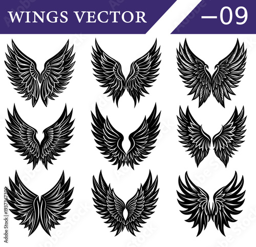 Nine black of feathered wings presented in a grid format, each with unique symmetrical and detailed feather textures, use as emblems, or decorative motifs