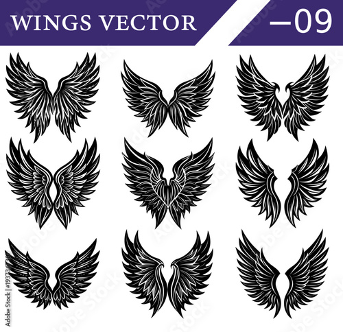 Nine distinct black of feathered wings are showcased in a grid layout, each with unique symmetrical and finely detailed feather patterns, emblems, and artistic applications