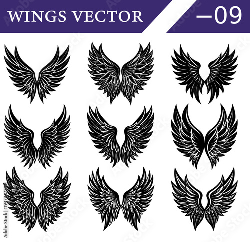 Nine distinct black and white of feathered wings arranged in a three by three grid each with unique feather detailing and symmetrical for use Keywords: wings, black, white, set, collection