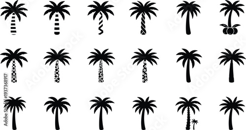 palm tree, tropical, coconut tree, island, nature, summer, beach, tropical plant, exotic, palm silhouette, tropical nature, vacation, paradise, jungle, landscape, botanical, icons, tropical trees