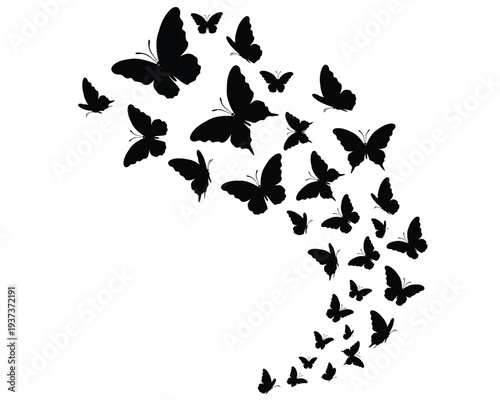 flock of butterflies