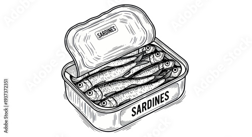 Open Sardines Can with Fish Inside, Hand-Drawn Sketch Illustration