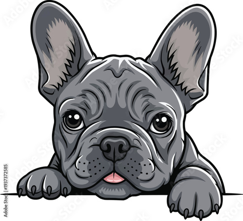 French Bulldog puppy cute peeking pose illustration 