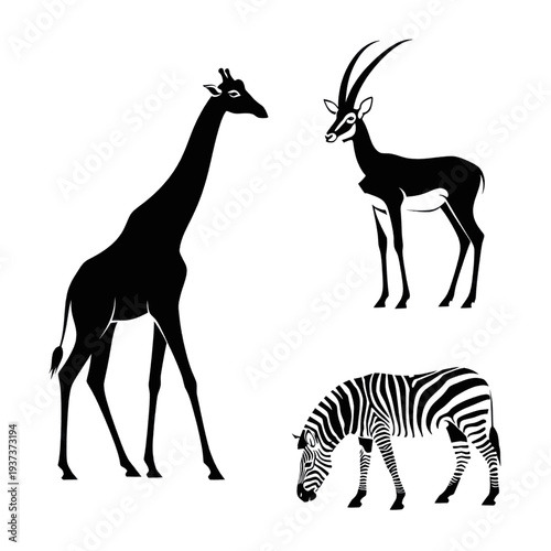 Silhouette of Giraffe Antelope and Zebra.