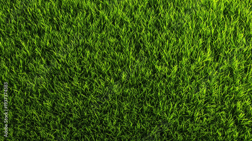 Green grass lawn nature background texture turf field outdoors summer fresh green grass lawn background texture, lush turf field outdoors summer sunlight creating natural pattern and vibrant