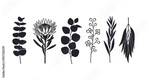Minimalist black botanical silhouettes on white background plant leaf flower