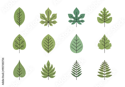 Vector flat design illustration of twelve different green leaves arranged in rows on a white background.