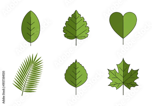 Vector flat design illustration of various green leaves in different shapes and sizes on a white background.