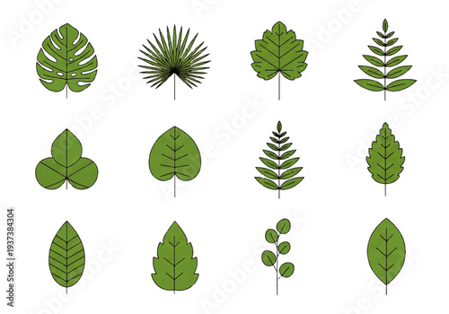Vector flat design illustration of various green leaves on white background, showcasing different shapes and types in a simple, graphic style.