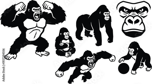 Tattoo flash gorilla vector set with roaring charging walking sitting baby with ball close up face bold silhouettes aggressive playful