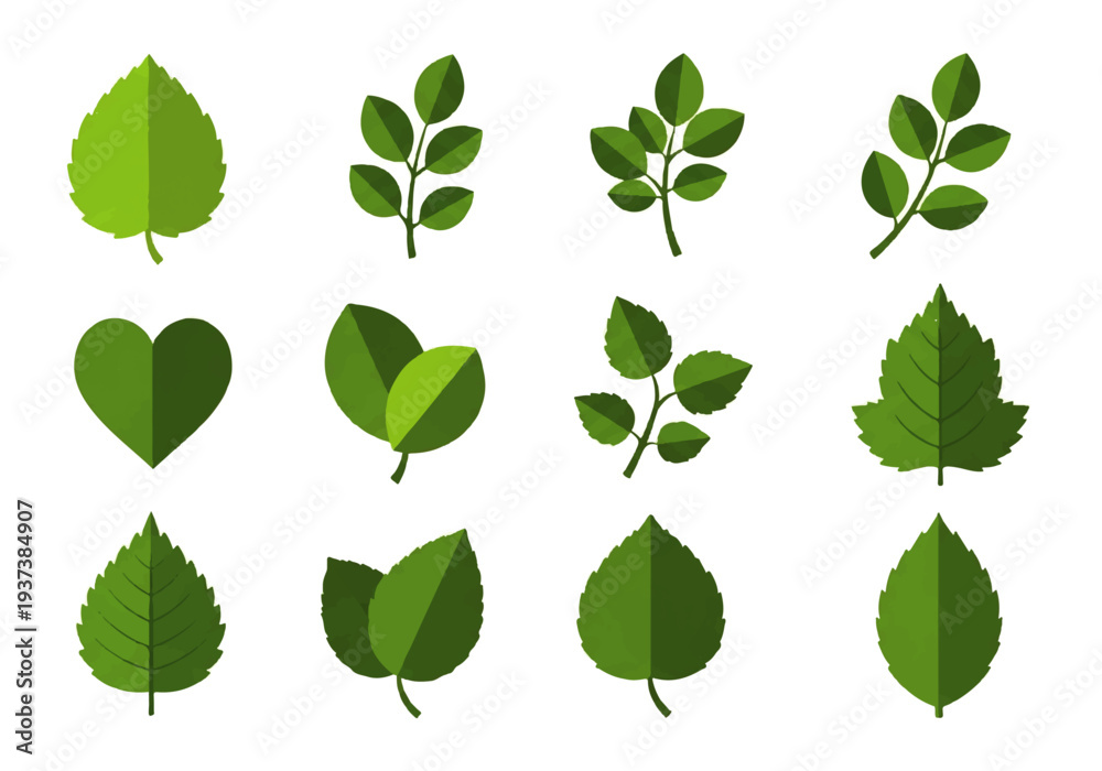 Fototapeta premium Vector flat design illustration of various green leaves on a white background, showcasing different shapes and types in a simple, graphic style.