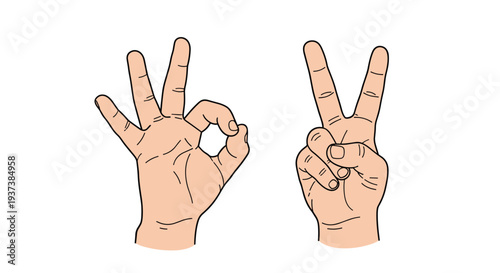 Two light-skinned hands are shown making distinct gestures, one forming an OK sign and the other a peace sign, against a stark white background.