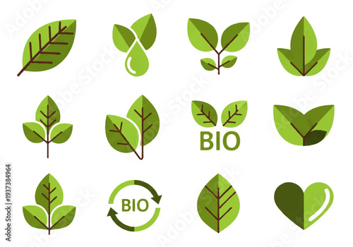 Vector flat design illustration of various green leaves and bio icons in a flat lay composition on a white background with a natural and eco-friendly mood.