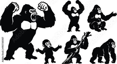 Vector gorilla silhouettes multiple poses roaring holding branch close up low angle standing crouching infant reaching muscle detail