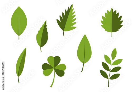 Vector flat design illustration of various green leaves and a four-leaf clover on a white background.