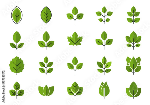 Vector flat design illustration of various green leaves on a white background, showcasing different shapes and styles in a graphic resource collection.