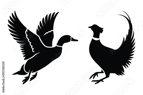 Flying Duck and Pheasant Silhouette Vector Art