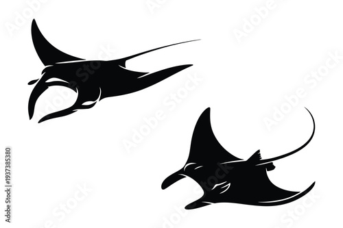 Two Manta Rays Silhouette Vector Art