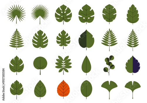 Vector flat design illustration of various green leaves and one orange leaf on white background.