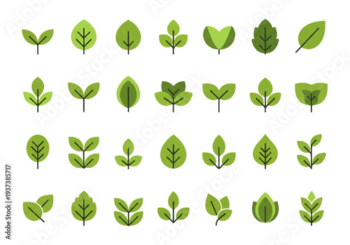 Vector flat design illustration of various green leaves on a white background, showcasing different shapes and styles in a graphic composition.