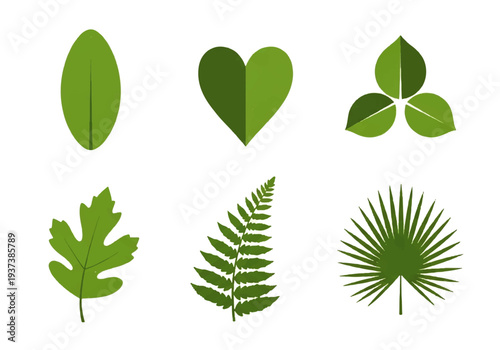 Vector flat design illustration of various green leaves in different shapes and sizes against a clean white background.