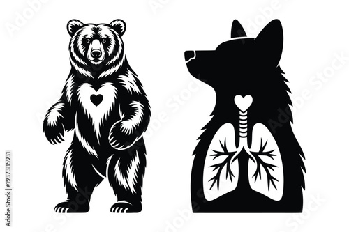 Bear with Heart and Lungs Silhouette Vector Art