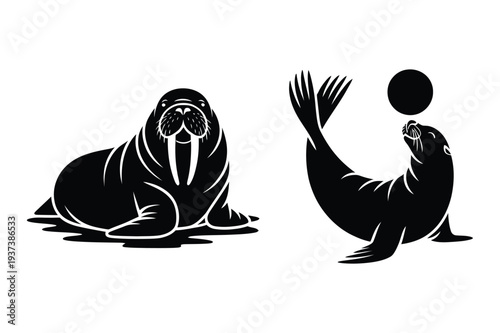 Walrus and Playful Sea Lion - Marine Animal Silhouette Vector