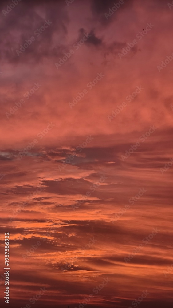Obraz premium sunset over the sea