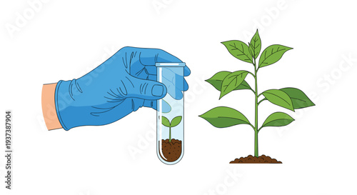 A gloved hand holds a test tube with a small plant sprout, standing next to a larger, fully grown plant with green leaves on a white background.