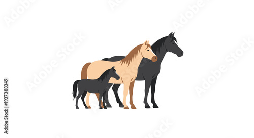 Three horses, consisting of a large black, a medium tan, and a small black foal, are standing in a line facing right on a plain white background.