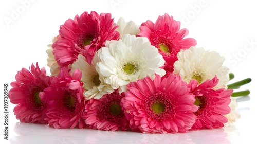 Cheerful bouquet of pink and white gerbera daisies on white background.
