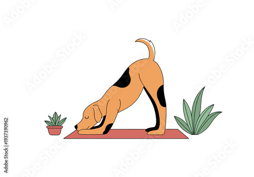 A blank, bright white background creates a sense of calm and limitless possibilities, ideal for showcasing products or minimalist design concepts.