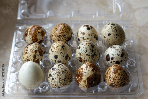 Speckled quail eggs in a clear plastic tray.