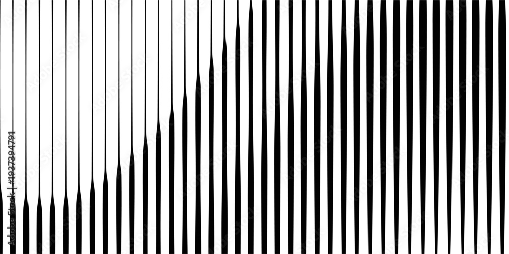 Obraz premium Abstract art geometric background with vertical lines. Optical illusion with waves and transition.
