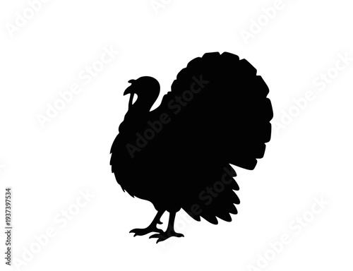 Silhouette of a turkey bird standing side view