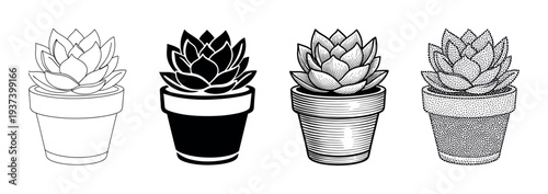 Set of four succulent plant illustrations in a pot, showcasing different artistic styles including line art, silhouette, detailed engraving, and stippling dotwork