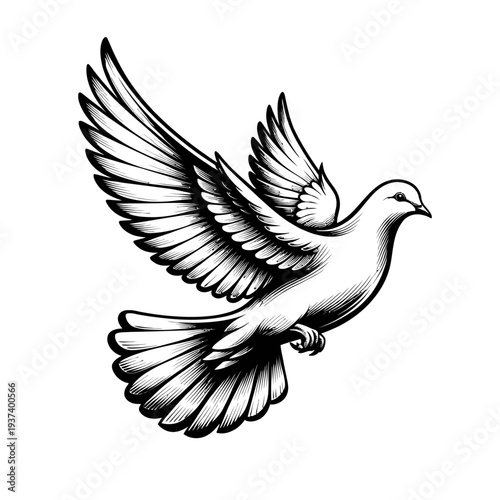Majestic Flying White Dove Illustration in Classic Engraving Style – A Detailed Black and White Vector Graphic Symbolizing Peace, Freedom, Purity, Hope, and Serenity, Ideal for Spiritual, Memorial, an