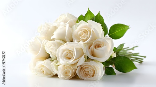Elegant Bouquet of Fresh White Roses on a Pristine White Background.