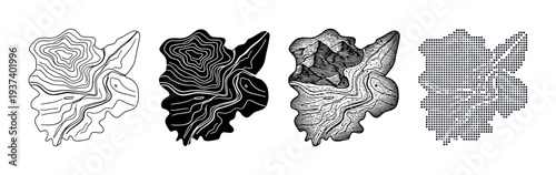 Four abstract topographic map illustrations of a fictional landmass presented in a collection of graphic styles including line art, silhouette, vintage engraving, and halftone dots