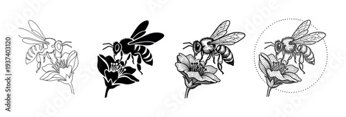 Set of four black bee illustrations on a flower, showcasing different artistic styles including line art, silhouette, engraving, and stippling dotwork for a vintage look