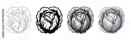 Four black and white cabbage illustrations showing different artistic styles, including simple line art, high contrast silhouette, detailed engraving, and dotwork stippling