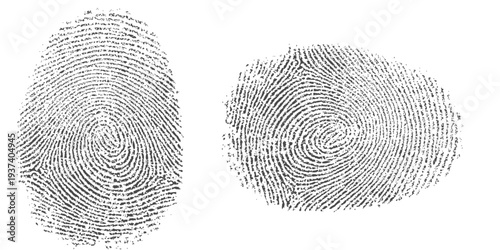 Black ink fingerprint on white background, spiral whorl pattern, forensic identification