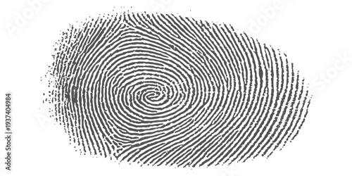 Black ink fingerprint on white background, spiral whorl pattern, forensic identification