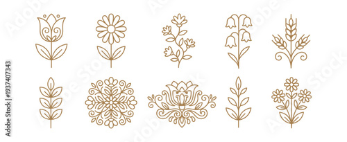 Scandinavian folk style floral line icons set with tulip daisy bellflower wheat branches and decorative botanical flowers on transparent background