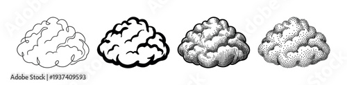 Set of four black cloud illustrations showcasing different artistic styles from simple line art and silhouette to detailed vintage engraving and modern stippling techniques