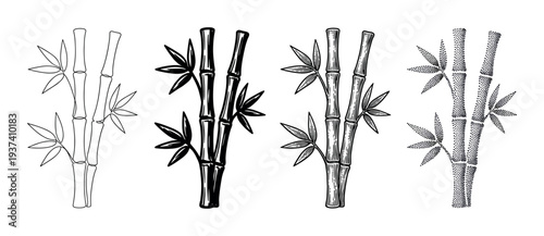 Bamboo stalks with leaves illustration set showing four different graphic styles including line art, silhouette, engraving, and stippling for a natural, zen-inspired design element