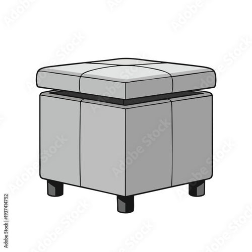 Upholstered Ottoman Footstool with Storage