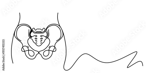 Human Pelvic Region Line Drawing, Minimalist continuous-line drawing of the human pelvic region, showing pelvic bones, hip joints, and part of the spine in an abstract artistic style