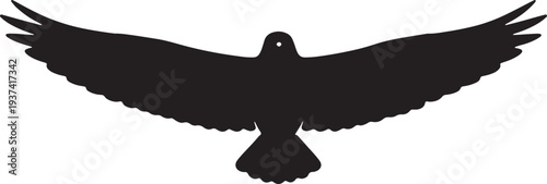 eagle vector illustration