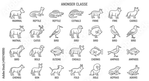 Collection of outlined animal icons representing various classes and species with their names for educational purposes.